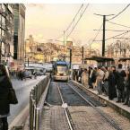 Pictures: Cold Breeze in the Morning Air ---Hayırlı sabahlar