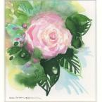 Pictures: rose