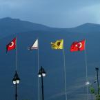 Flags in the wind