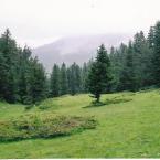 Ilgaz mountain