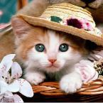Pictures: PRETTY