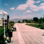 Inonu Universitesi - pembe yol