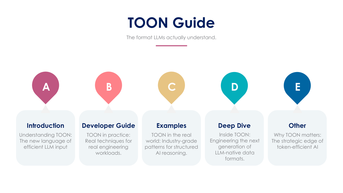 TOON OVERVIEW