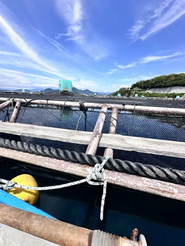 記事の画像