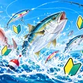初心者ホイホイ