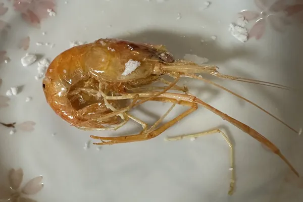 手長海老の素揚げ