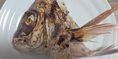 タイお頭の塩焼きの写真