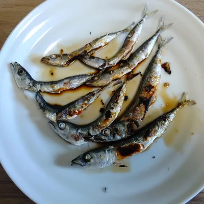 ただの焼き魚
