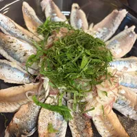 炙り刺身