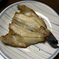 ひもの