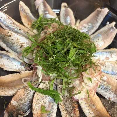 炙り刺身
