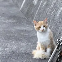 ムクムクムックのアバター