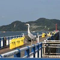イチョウのアバター