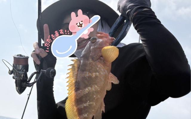 キジハタ
