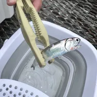 イワシ