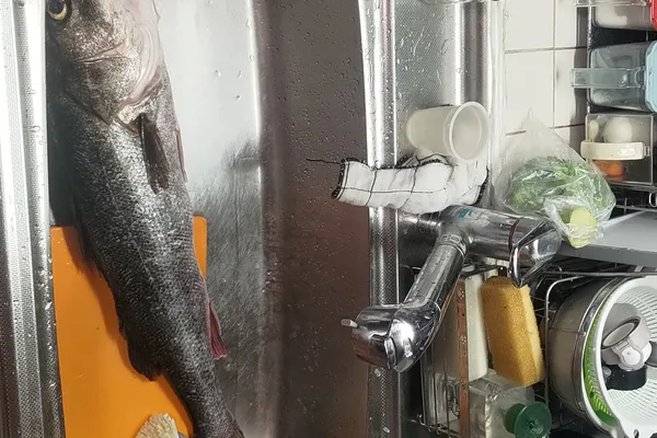 スズキ