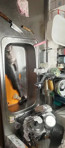 スズキ