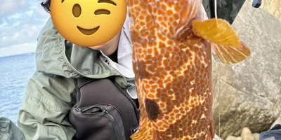 キジハタ