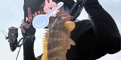 キジハタの釣果写真