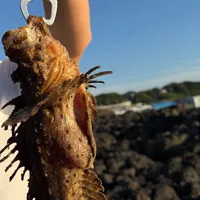 オニオコゼ