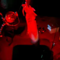 アオリイカ