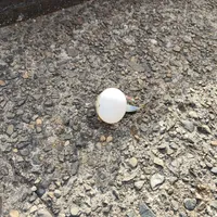 クサフグ