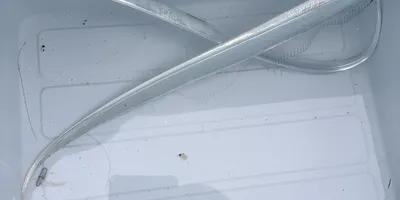 タチウオ