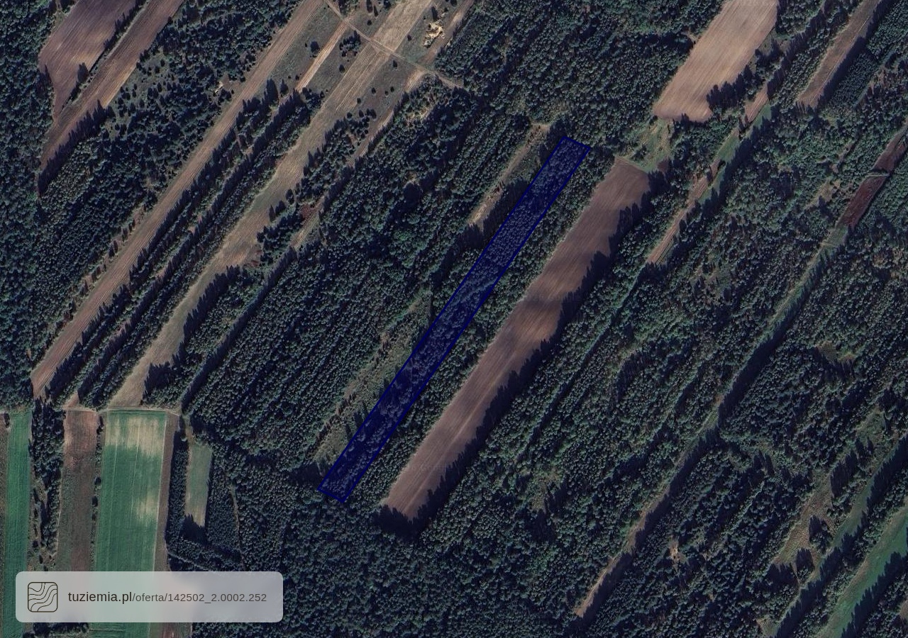 Działka na sprzedaż - Karszówka (4,00 ha)