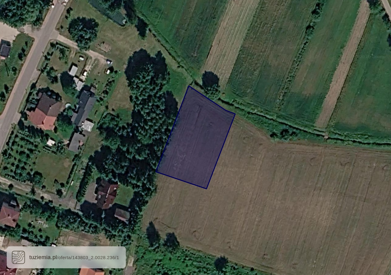 Działka na sprzedaż - Radziwiłłów (1,29 ha)