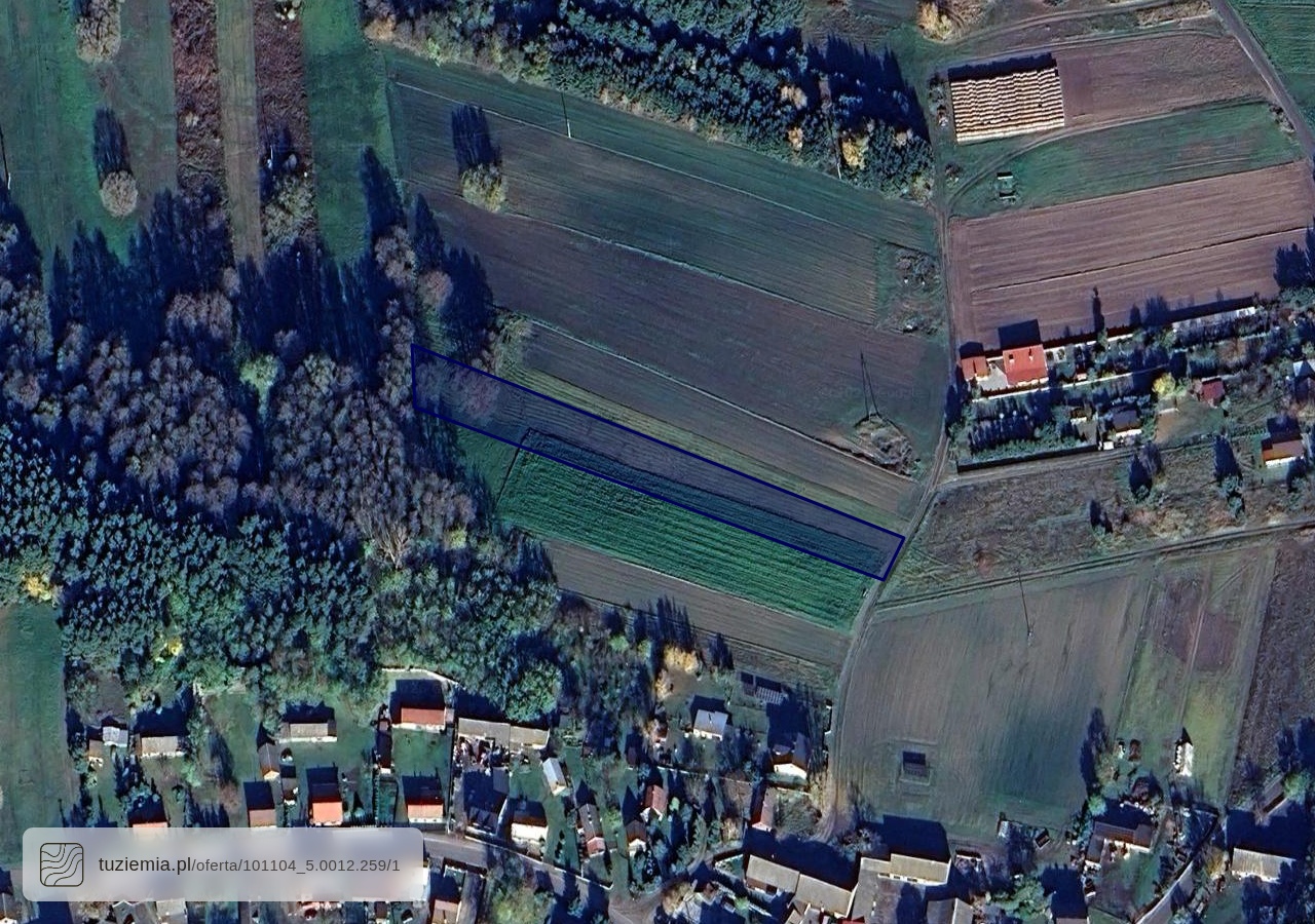 Działka na sprzedaż - Kuczki (6,500 m²)
