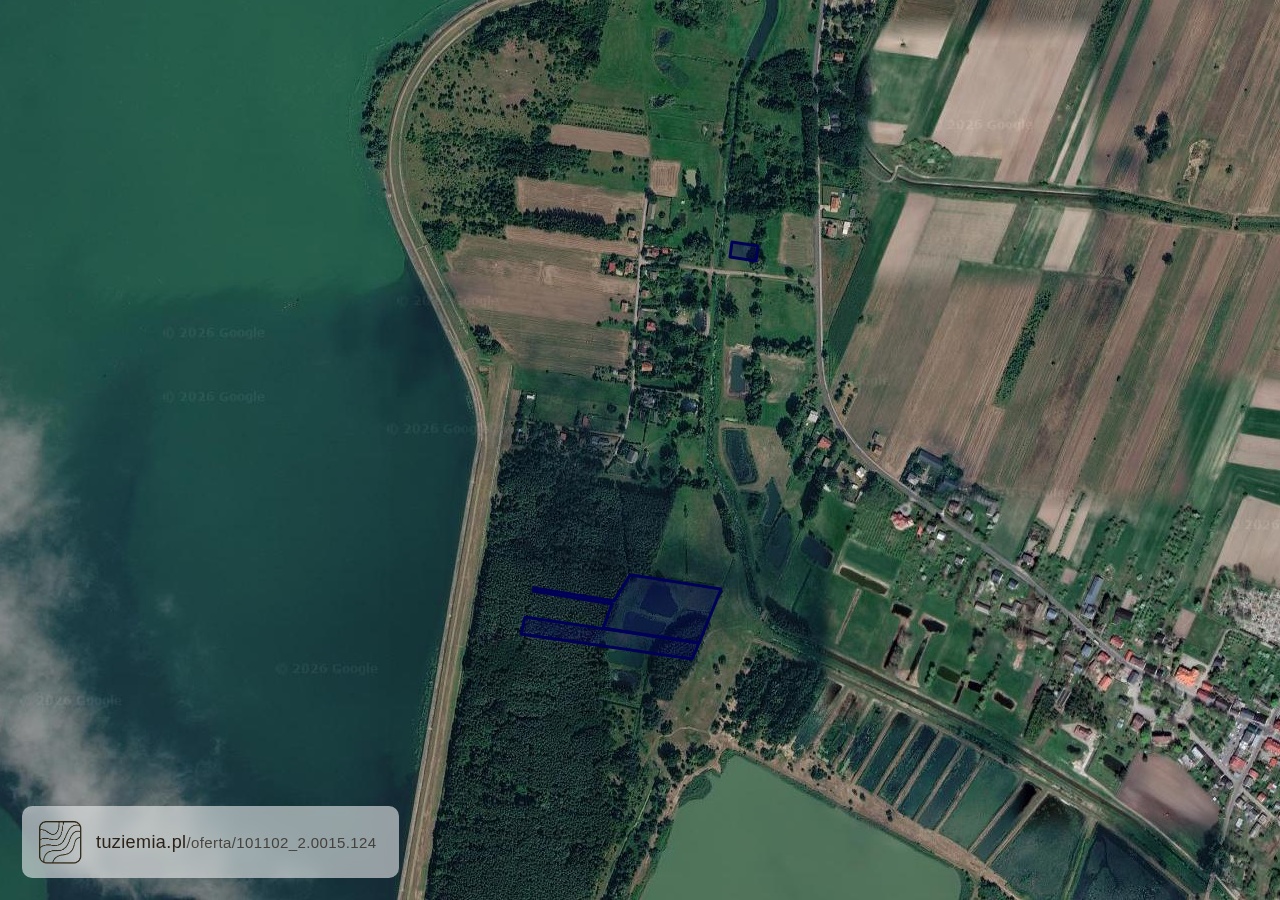 Działka na sprzedaż - Pęczniew (1,99 ha)