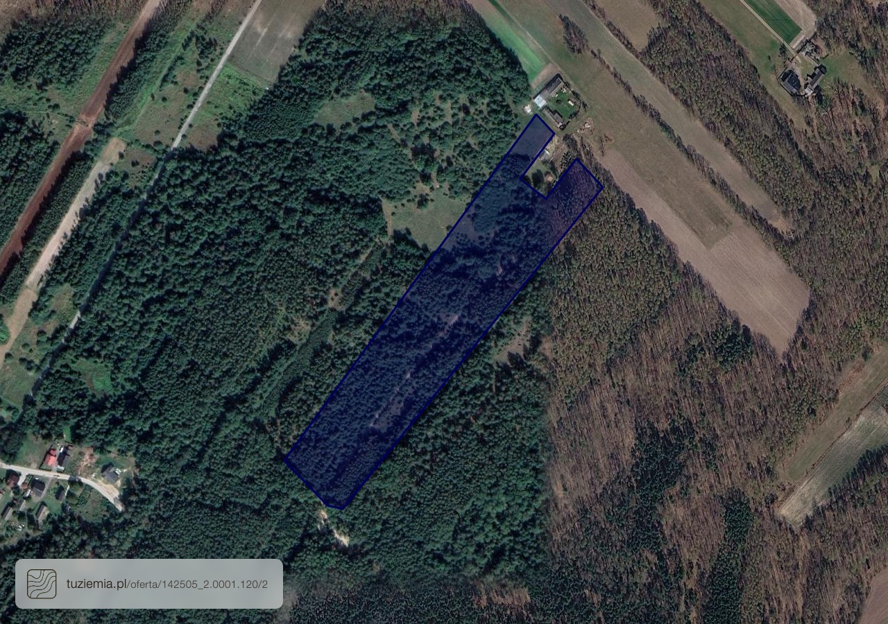 Działka na sprzedaż - Boża Wola (3,99 ha)