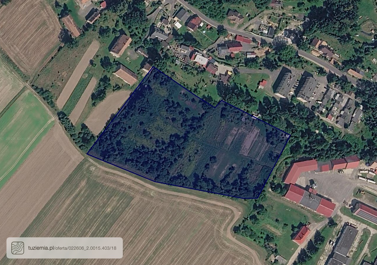 Działka na sprzedaż - Wilków (2,43 ha)