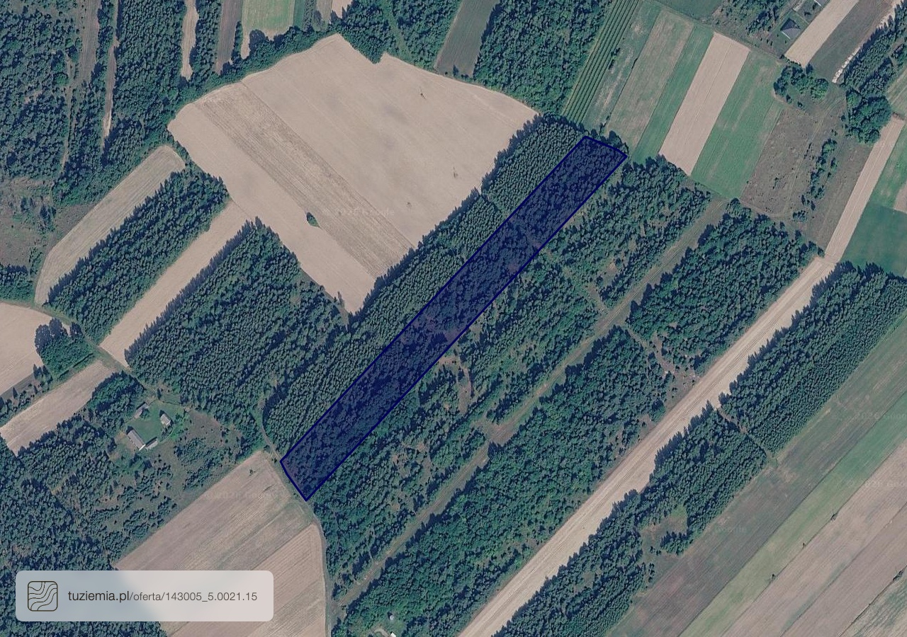 Działka na sprzedaż - Zastronie (2,26 ha)