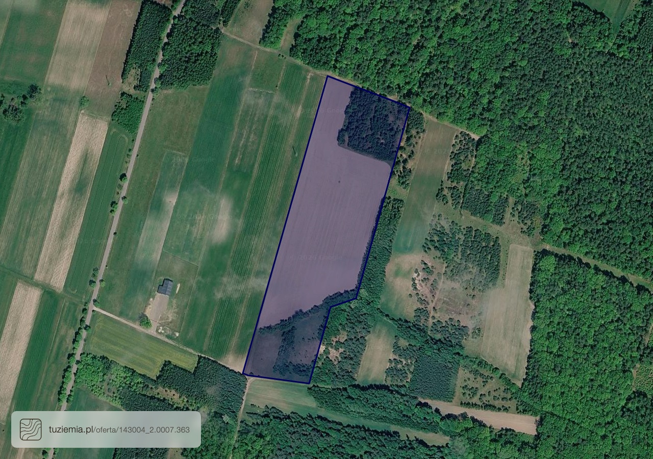 Działka na sprzedaż - Guzów (5,26 ha)