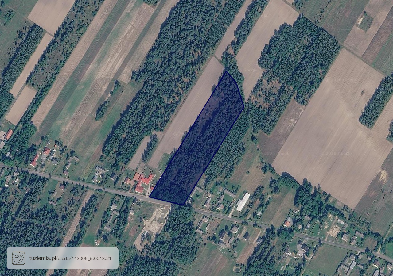 Działka na sprzedaż - Wilcza Wola (2,65 ha)