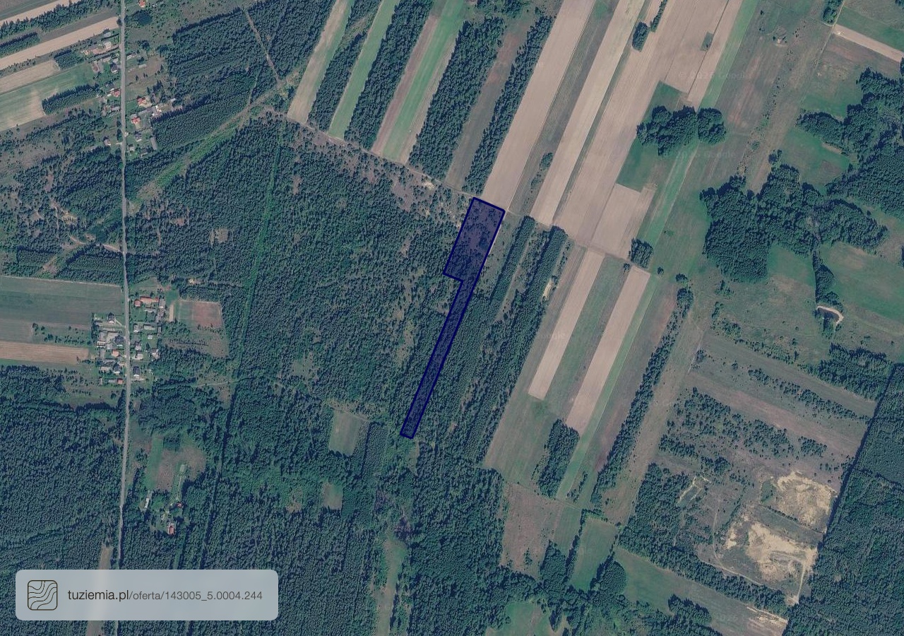 Działka na sprzedaż - Jankowice (2,13 ha)