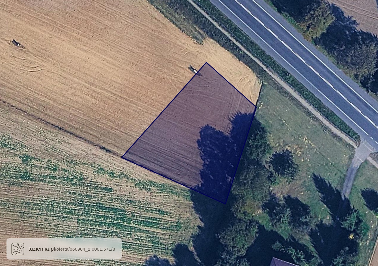 Działka na sprzedaż - Bogucin (1,000 m²)