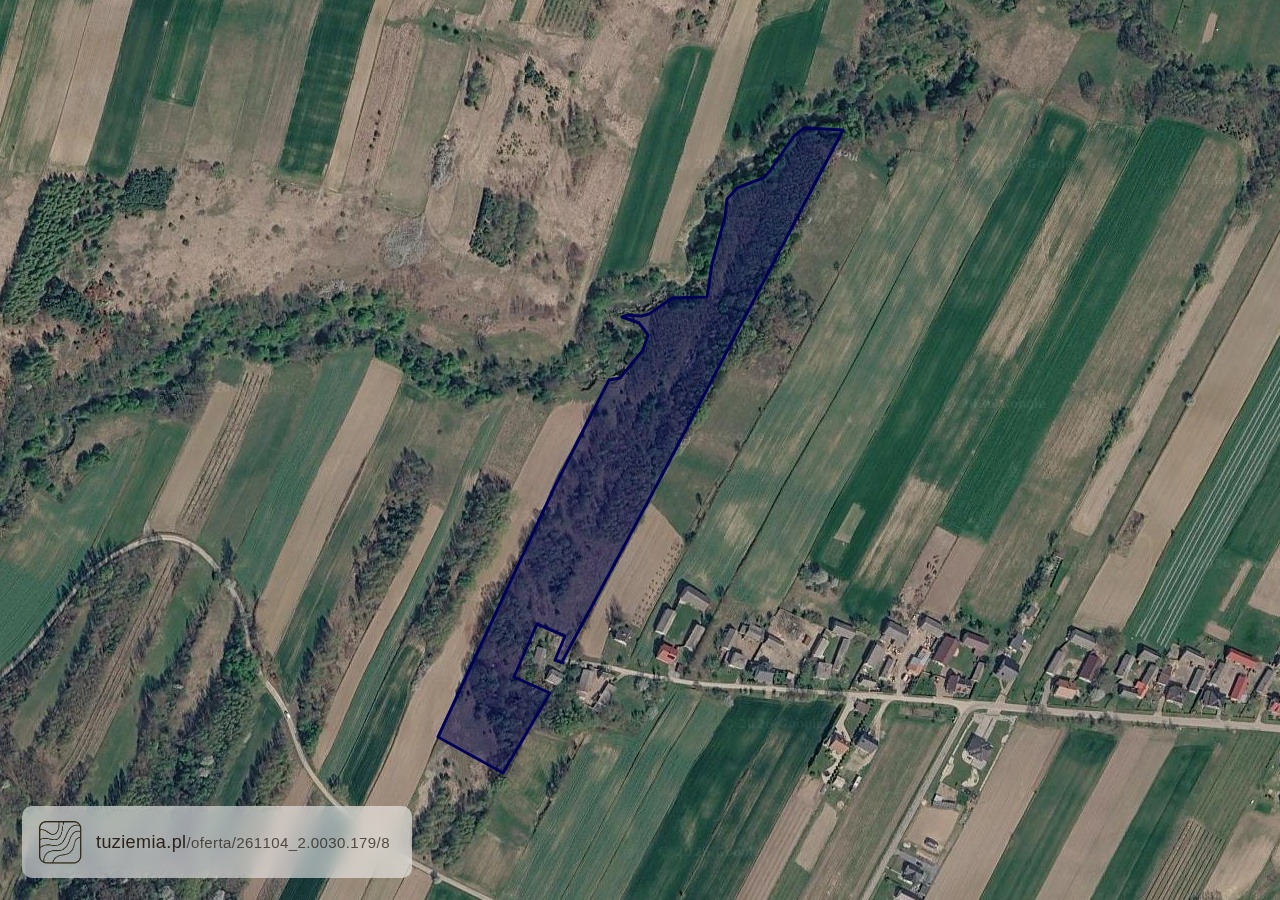 Działka na sprzedaż - Radkowice (2,91 ha)