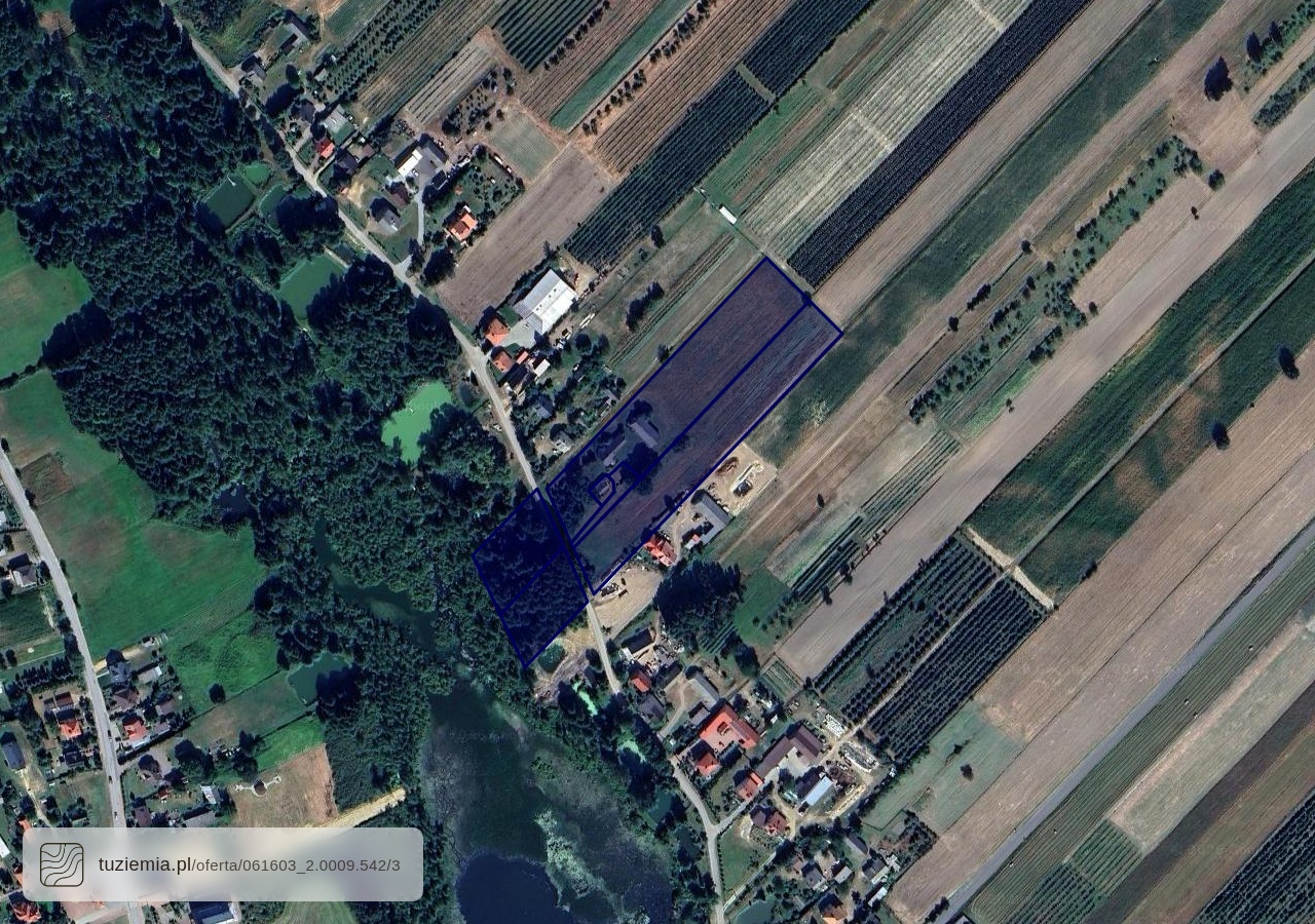 Działka na sprzedaż - Nowodwór (2,43 ha)