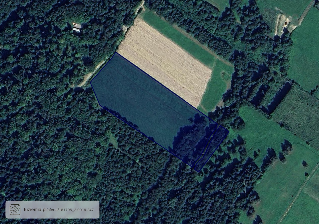 Działka na sprzedaż - Płowce (1,66 ha)