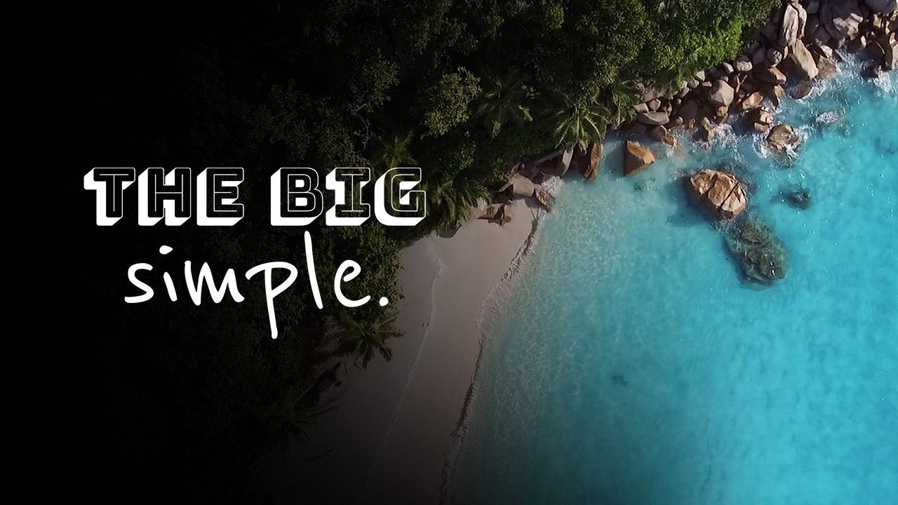 The Big Simple - S1