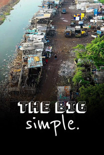 The Big Simple - Das Dokument