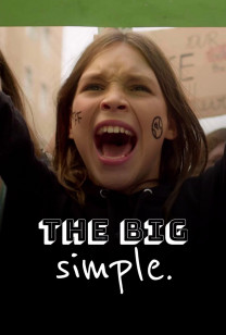 The Big Simple - 06 - Aktivismus