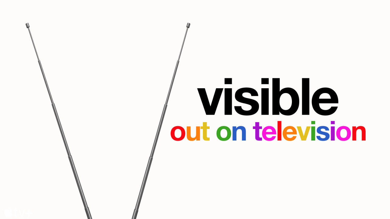 Visible: Out on Television