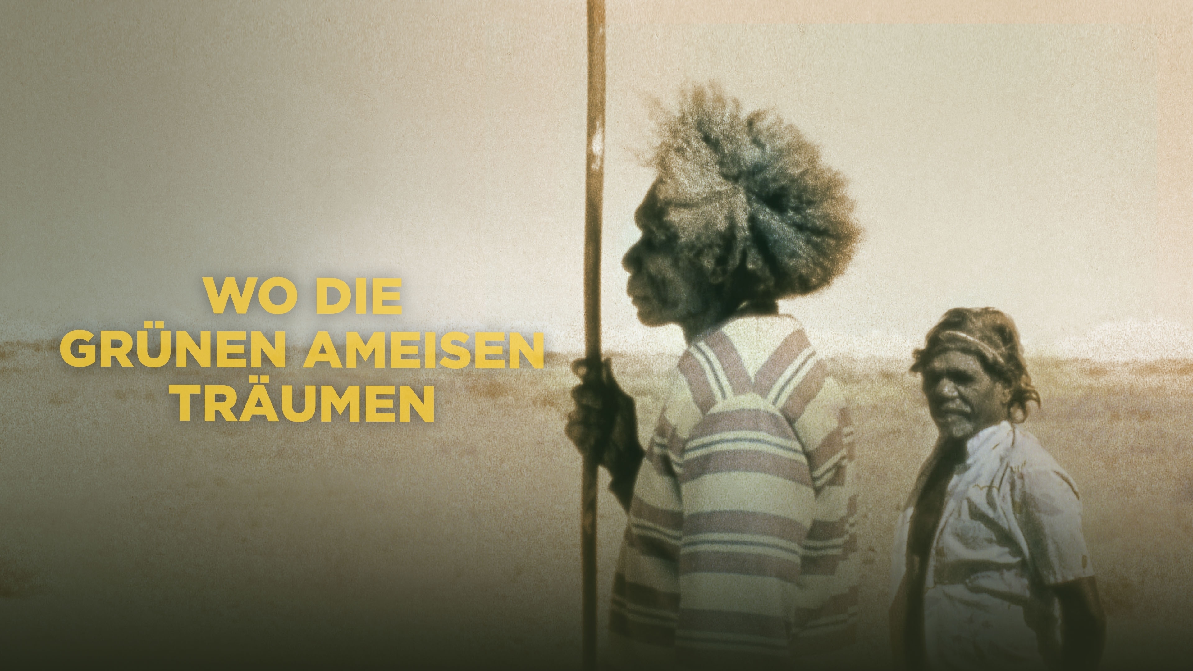 Wo die grünen Ameisen träumen