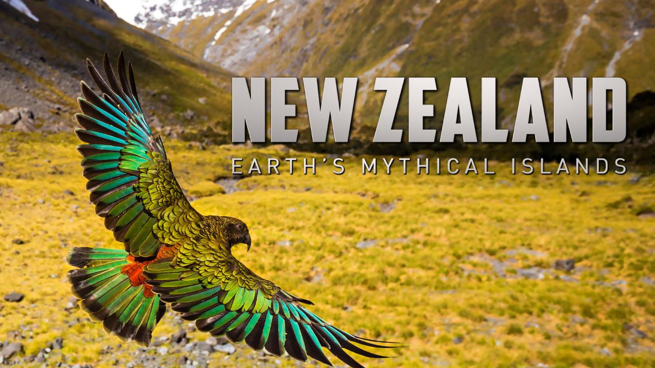 Noua Zeelandă sălbatică