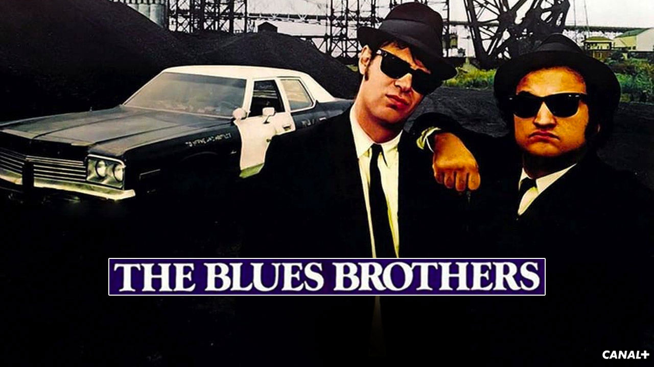 Bratři Bluesovi