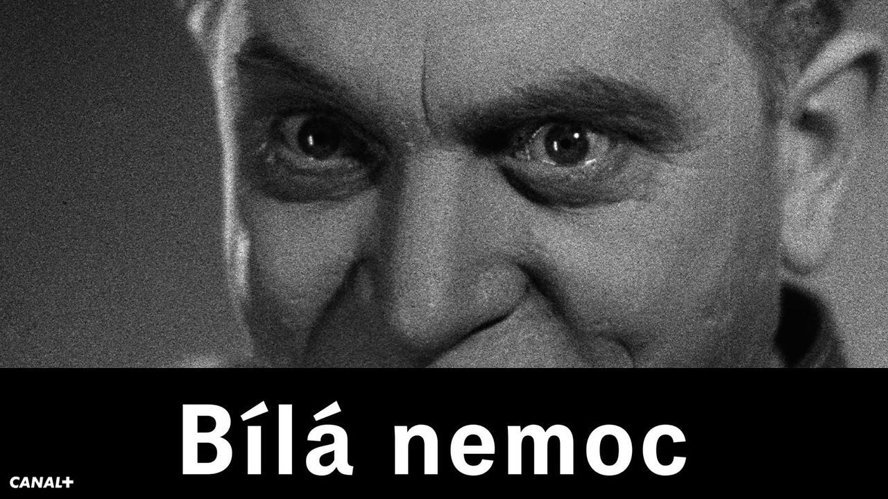 Bílá nemoc