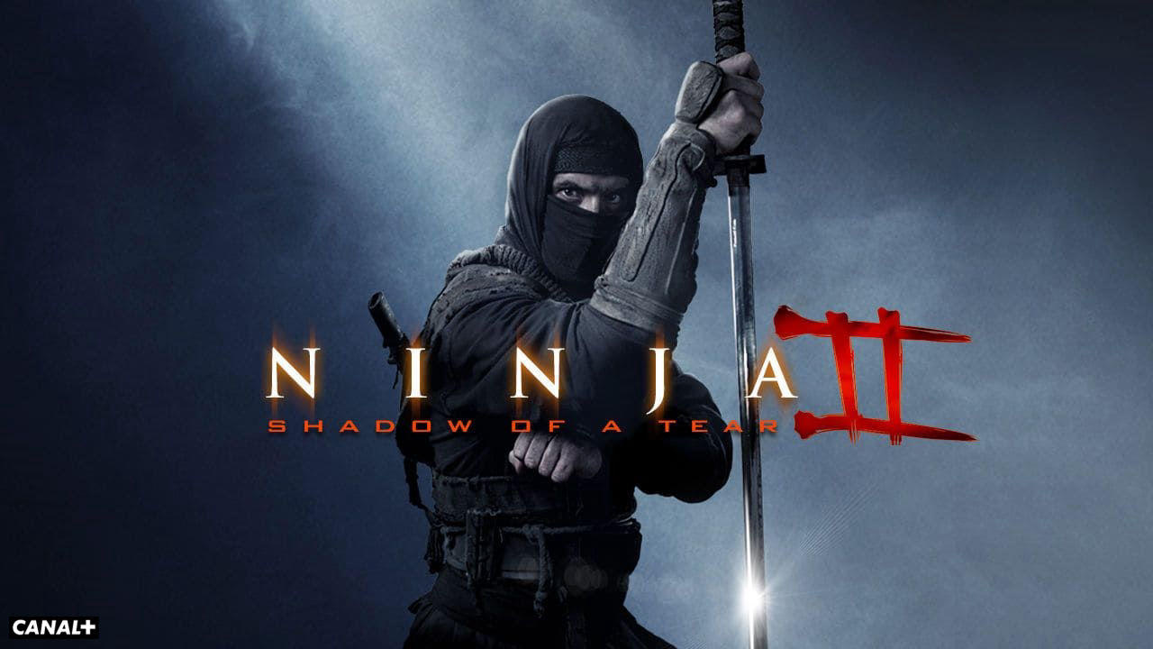 Ninja 2: Pomsta